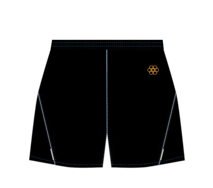 Men‘s Pro Running Shorts